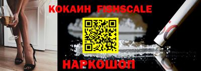 гашик Ноябрьск