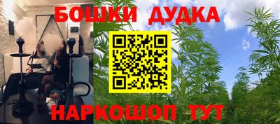 гашик Ноябрьск