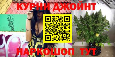 гашик Ноябрьск