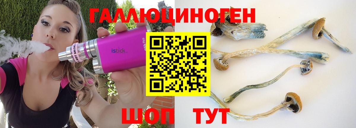 Галлюциногенные грибы GOLDEN TEACHER  Псилоцибиновые грибы Magic Shrooms  Краснокамск  Вход с VPN 